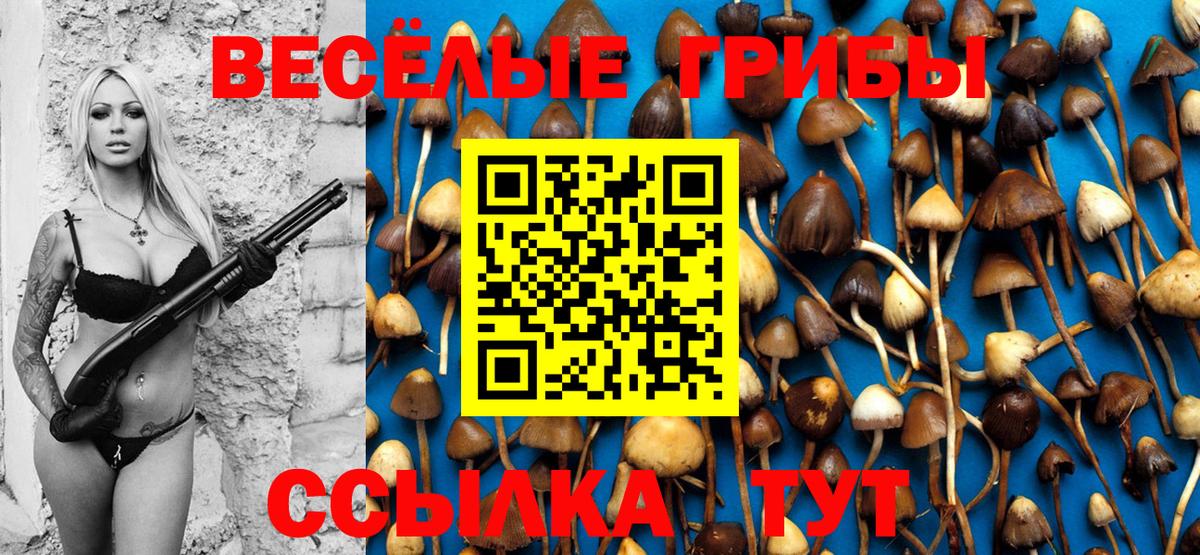 Псилоцибиновые грибы мухоморы  Вход с VPN  Псилоцибиновые грибы GOLDEN TEACHER  Комсомольск-на-Амуре 
