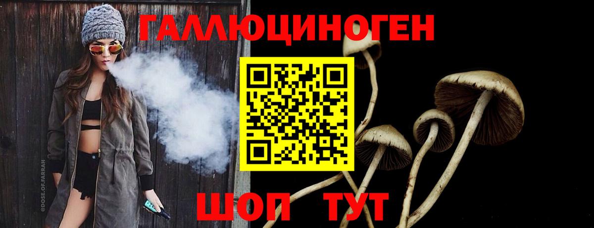 Псилоцибиновые грибы Psilocybine cubensis Комсомольск-на-Амуре